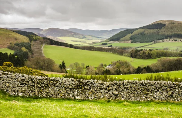 Schottische Landschaft Der Nähe Von Peebles — Stockfoto