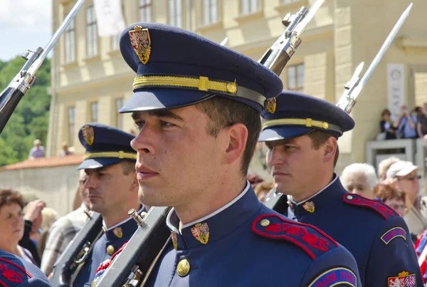 捷克共和国布拉格 6月10日 2013年6月10日在布拉格城堡建筑群举行换岗仪式的士兵 — 图库照片