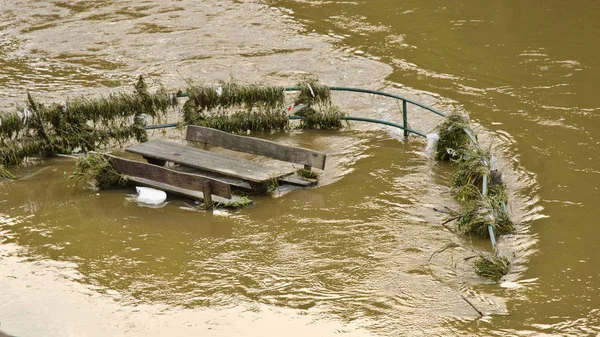 Hrensko Tschechische Republik Juni Das Überflutete Elbwasser Juni 2013 Hrensko Stockfoto