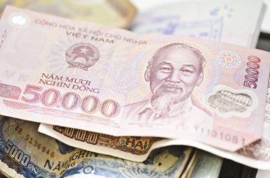 Vietnamlı para yığını, banknotlar