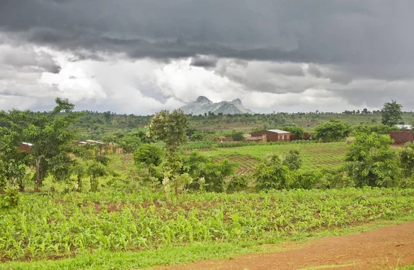 Pohled Nkhoma Kopci Lilongwe Okres Malawi — Stock fotografie