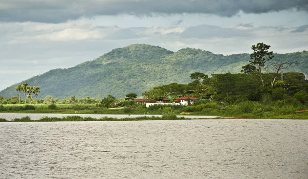 Liwonde Malawi Ledna Shire River Ledna 2014 — Stock fotografie