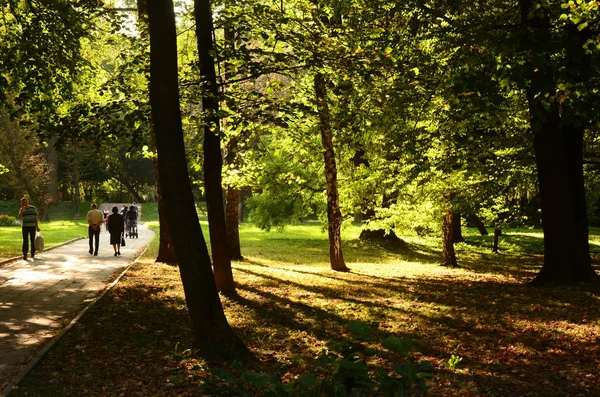 Vacker Utsikt Över Lummig Grönska Park Med Promenader Personer — Stockfoto