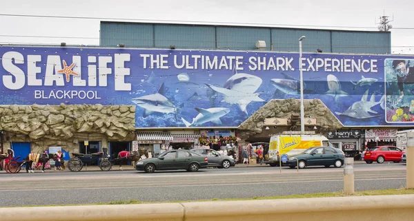 Blackpool Egyesült Királyság Június Sea Life Aquarium 2014 Június Stock Kép