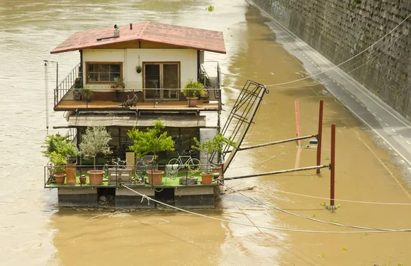 Roma Junho Barco Fluvial Rio Tibre Inundado Junho 2013 — Fotografia de Stock