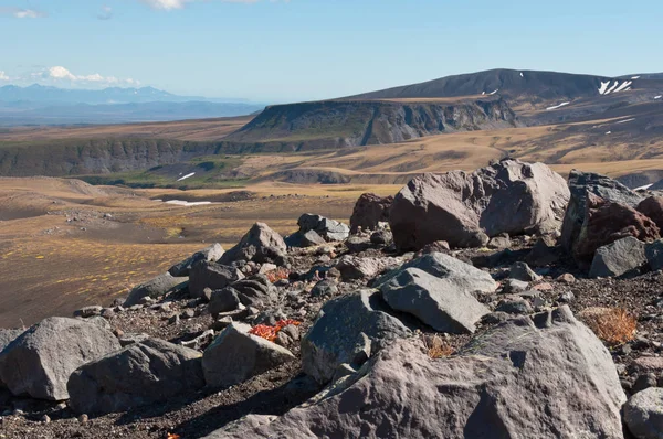 Una Pintoresca Vista Del Valle Nalycheva Cerca Del Paso Avachinsky — Foto de Stock