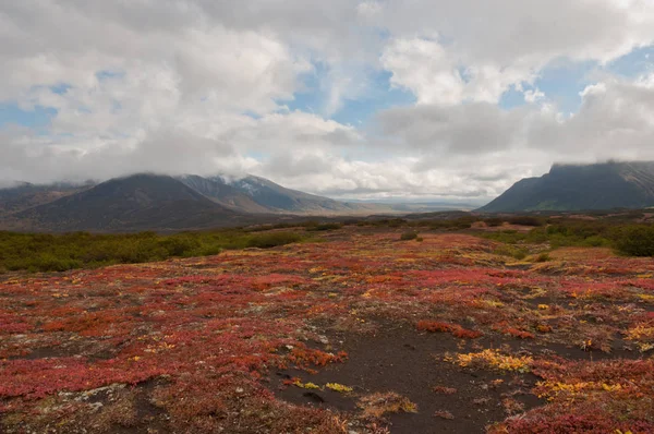 Colores Otoñales Parque Natural Nalychevo Kamchatka Krai Rusia — Foto de Stock