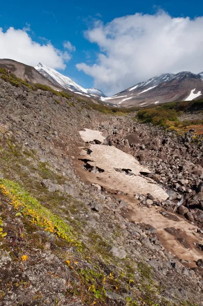 Hermoso Paisaje Volcán Dzenzur Parque Natural Nalychevo Kamchatka Krai Rusia — Foto de Stock
