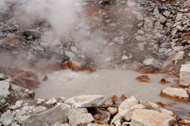 Dzenzur yanardağ, etkin fumarole. Termal su kaynar. Nalychevo Doğa Parkı, Kamçatka Krayı, Rusya Federasyonu