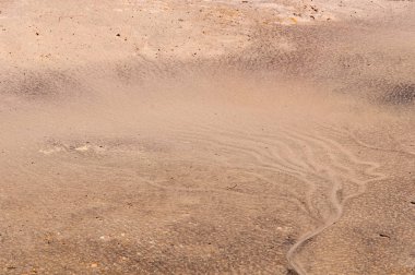 Yapıların görünümü Kapat çamura tarafından aktif volkanik fumarole kurdu. Dzenzur volkan, Nalychevo Doğa Parkı, Kamçatka Krayı, Rusya Federasyonu