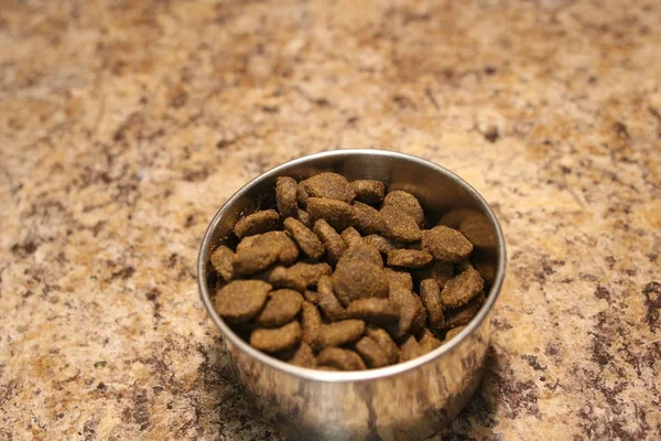 Dog food in a dogs own cup — Stock Photo, Image