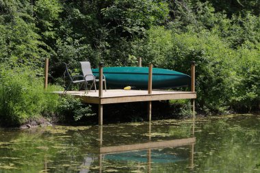 Büyük mavi balıkçıl Ardea herodias portresi 