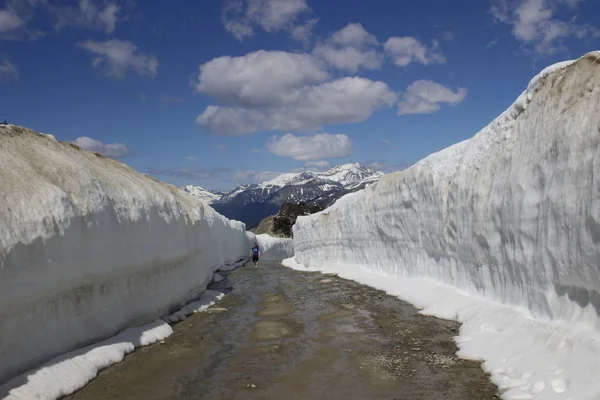 Murs de neige d'été à Whistler. Route à travers les murs de neige. Randonnée en été en Colombie-Britannique . — Photo