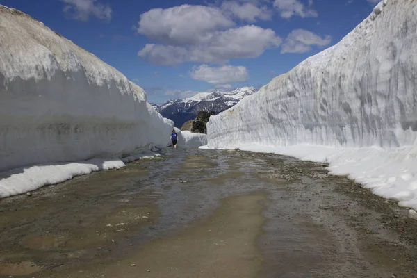 Summer snow väggar i Whistler. Väg genom snön väggar. Vandring på sommaren i British Columbia. — Stockfoto