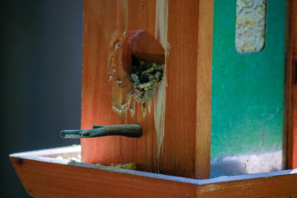 Un comedero de aves que ha sido masticado por una ardilla causando daños menores — Foto de Stock