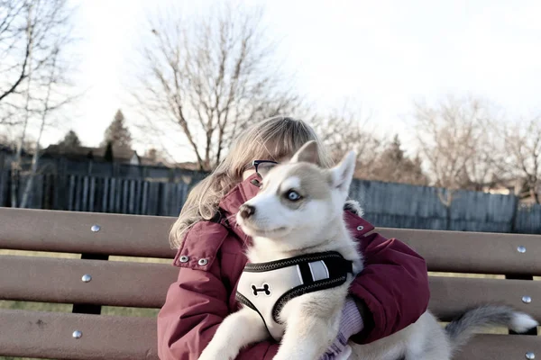 Liten flicka i åldern 3 till 5 rymmer en valp på armarna, siberian husky — Stockfoto