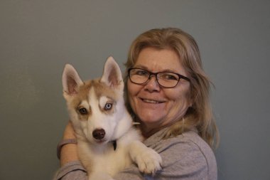Köpek aşık kadın husky köpek ile eğleniyor