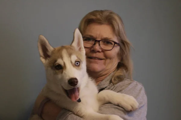 Dog lover woman having fun with her husky puppy — Stock Photo, Image