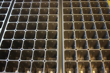 Tohum tepsi başlangıç fişleri oluşturmak için dikim