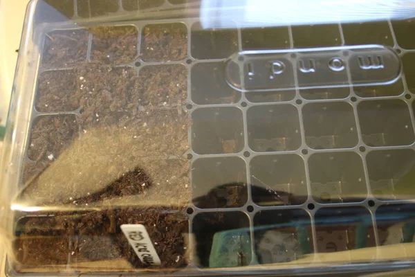 Mini greenhouse for balcony gardening this allows for warmth to start seeds in windowsill — Stock Photo, Image