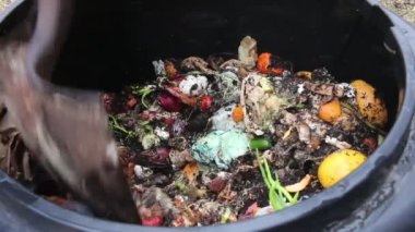 Bahar çiçeği güveci. Çiçek açmış.