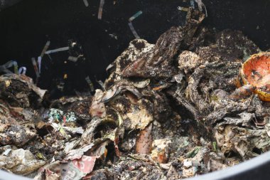 Bahçedeki gübre kutusu.