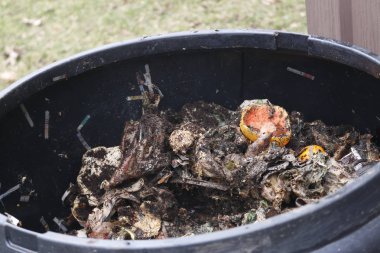 Bahçedeki gübre kutusu.