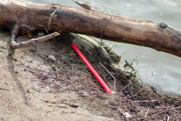 Pollution of plastic straws and fork left on beach background with beautiful seashells and drift wood. Plastic pollution is harmful to marine lives. Environmental concept. Ban single use plastic.