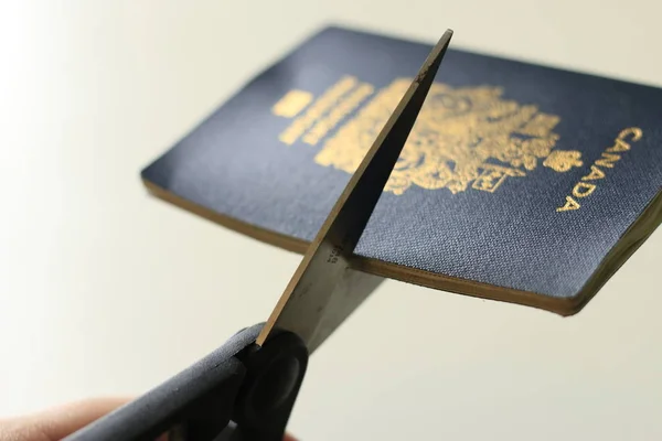 Cutting a canadian passport. Concept of renouncing citizenship or leaving the country. Dissastisfaction with Canada — Stock Photo, Image