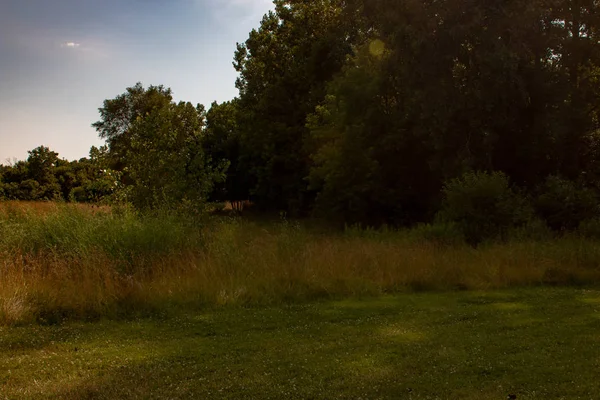 Lange gras landschap type foto. Ruimte voor kopieer ruimte. Foto toont schoonheid van Ontario natuur — Stockfoto