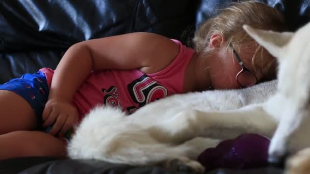 Little girl cuddles with siberian husky on couch — Stock Video