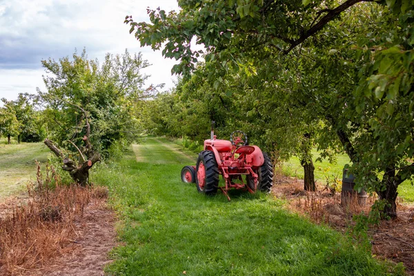 Oude roestige tractor in een boomgaard. Een oude roestige tractor zit in een boomgaard in de Okanagan Valley, British Columbia. — Stockfoto