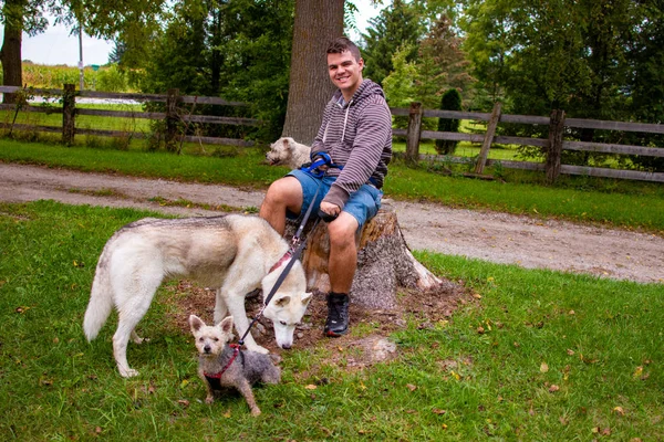 Tres perros y un hombre sentado en el campo . —  Fotos de Stock