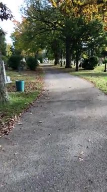 Sonbahar ormanı manzarası. Turuncu, sarı ve kırmızı renklerde yolu ile Sonbahar sonbahar orman. Güzel güneşli hava