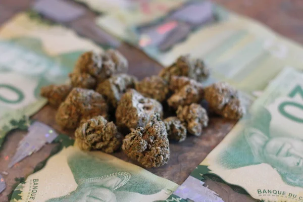 Marijuana Buds on Money with a lighter and rolling papers. Marijuana on Canadian Money with a lighter and rolling papers