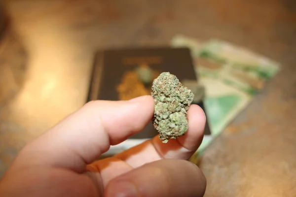 Mano Sosteniendo Brote Cannabis Contra Rastro Paisaje Cielo Azul Concepto —  Fotos de Stock