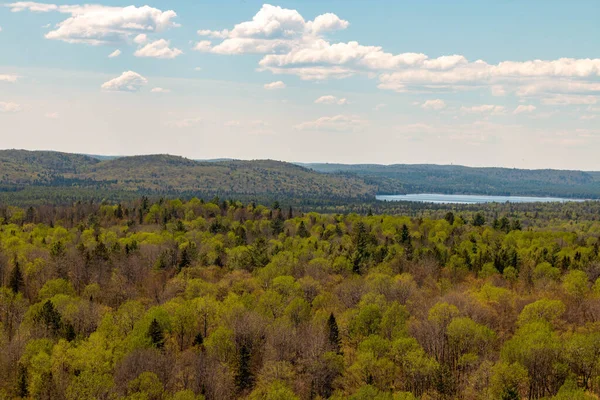 Uitzicht op Rock Lake vanaf de Booth rots trail in Algonquin Park, Ontario, Canada. — Stockfoto