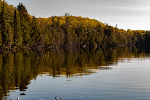 Jarní fotografie jezera Gilmour Ontario. To je v Limerick County, populární turistické destinace v severním Ontariu — Stock fotografie