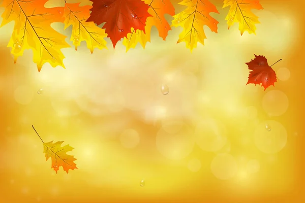 Осенний фон с разноцветными листьями. — стоковый вектор