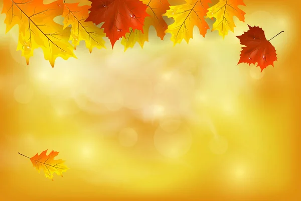 Fondo de otoño con hojas coloridas. — Vector de stock