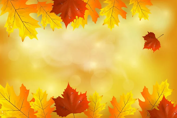 Осенний фон с разноцветными листьями. — стоковый вектор
