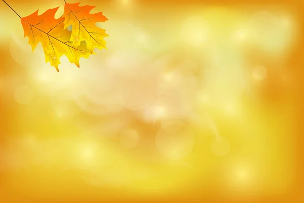 Fondo de otoño con hojas coloridas. — Vector de stock