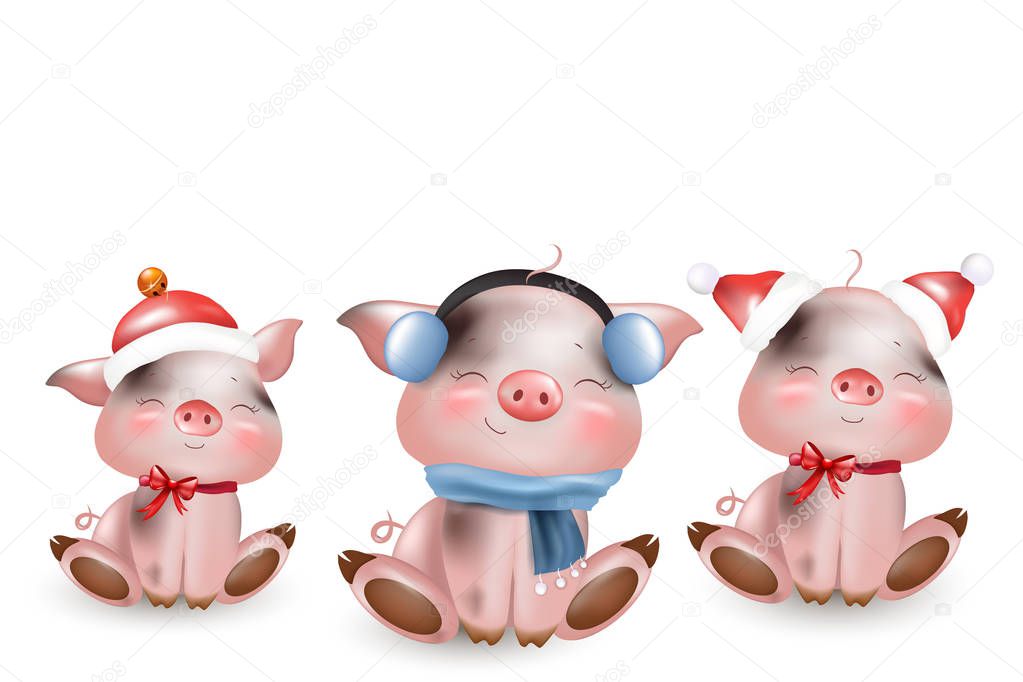 The year of the pig. Happy New Year
