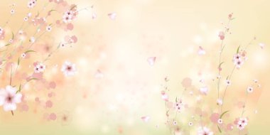 Sakura çiçekler ile renkli bahar çiçek arka plan