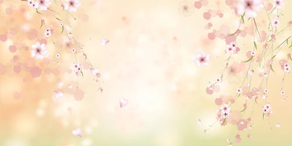 Colorato sfondo floreale primavera con fiori di sakura — Vettoriale Stock
