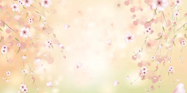 Fond floral printanier coloré avec des fleurs de sakura — Image vectorielle
