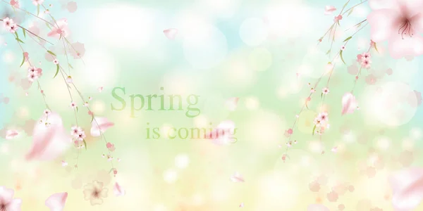 Spring is coming. Sakura petals falling down. — 스톡 벡터