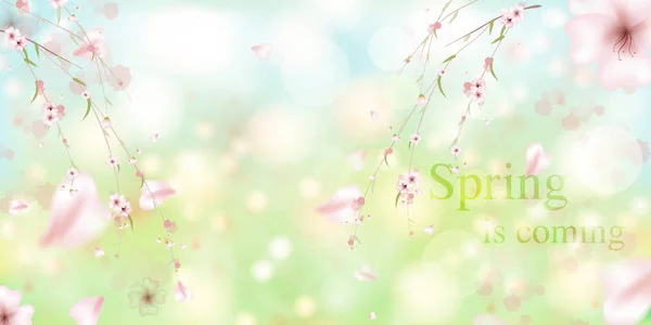 La primavera sta arrivando. Petali Sakura che cadono . — Vettoriale Stock