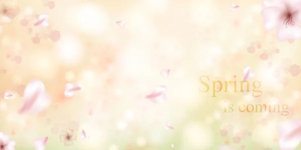 Spring is coming. Sakura petals falling down. — 스톡 벡터