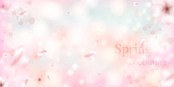 Spring is coming. Sakura petals falling down. — 스톡 벡터